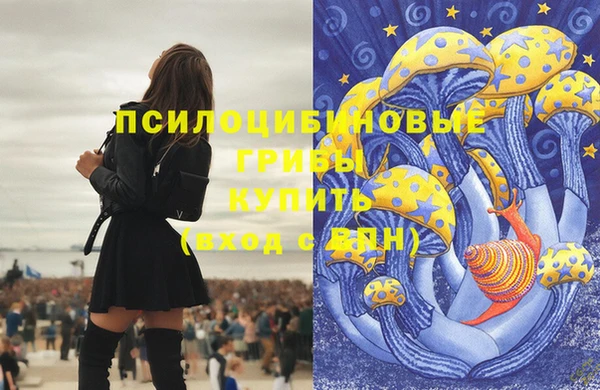стафф Краснослободск